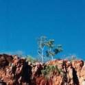 AUS NT OrmistonGorge 2001JUL11 011 : 2001, 2001 The "Gruesome Twosome" Australian Tour, Australia, Date, July, Month, NT, Ormiston Gorge, Places, Trips, Western MacDonnells, Year